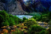 /album/foto-style-improta/gae-7-jpg1/
